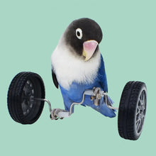 Load image into Gallery viewer, Bird Bicycle Mini  Roller Skates
