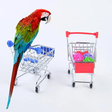 Load image into Gallery viewer, Parrot Roller Skates

