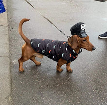 Load image into Gallery viewer, Dachshund Winter Coat  Jacket
