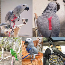 Load image into Gallery viewer, Parrot Bird Harness Leash Outdoor Flying
