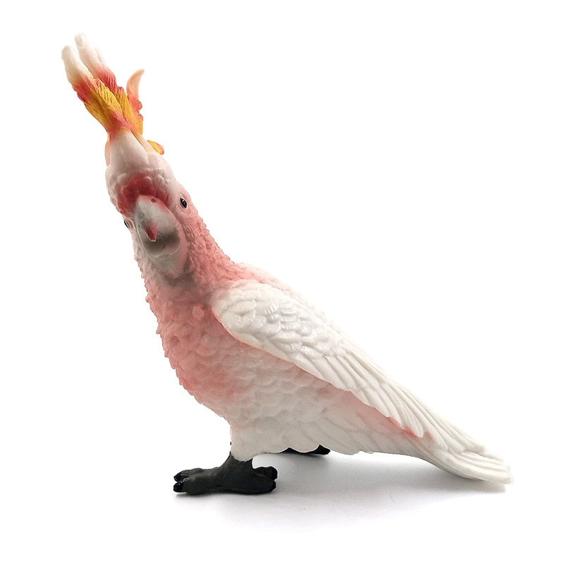 DIY Simulation Toucan Cockatoo