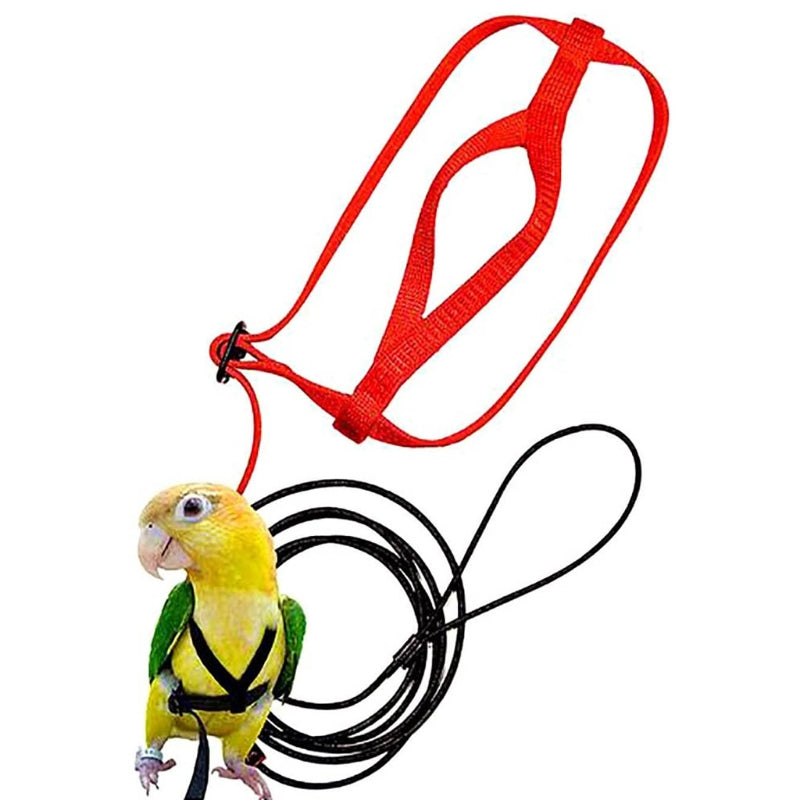 Parrot Bird Harness Leash Outdoor Flying