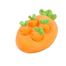 Load image into Gallery viewer, PET Carrot Field Pull Toy
