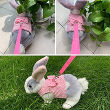 Load image into Gallery viewer, Rabbit Vest Harness and Leash Set
