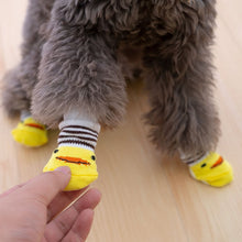 Load image into Gallery viewer, PET Knit Socks
