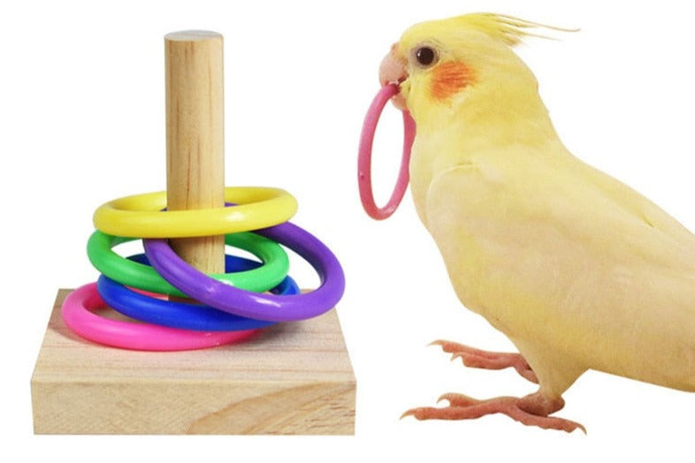 Parrots ColorfulTraining Rings