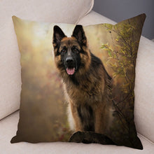 Load image into Gallery viewer, German Shepherd Super Soft  Pillow Case
