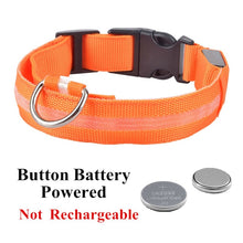 Load image into Gallery viewer, LED Pet Safety Collar
