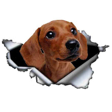 Load image into Gallery viewer, Dachshund Decal Stickers Waterproof
