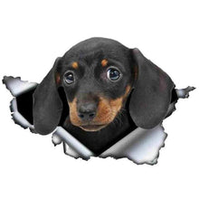 Load image into Gallery viewer, Dachshund Decal Stickers Waterproof
