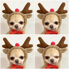 Load image into Gallery viewer, Warm Chihuahua Winter Hoodies
