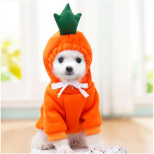 Load image into Gallery viewer, Warm Chihuahua Winter Hoodies
